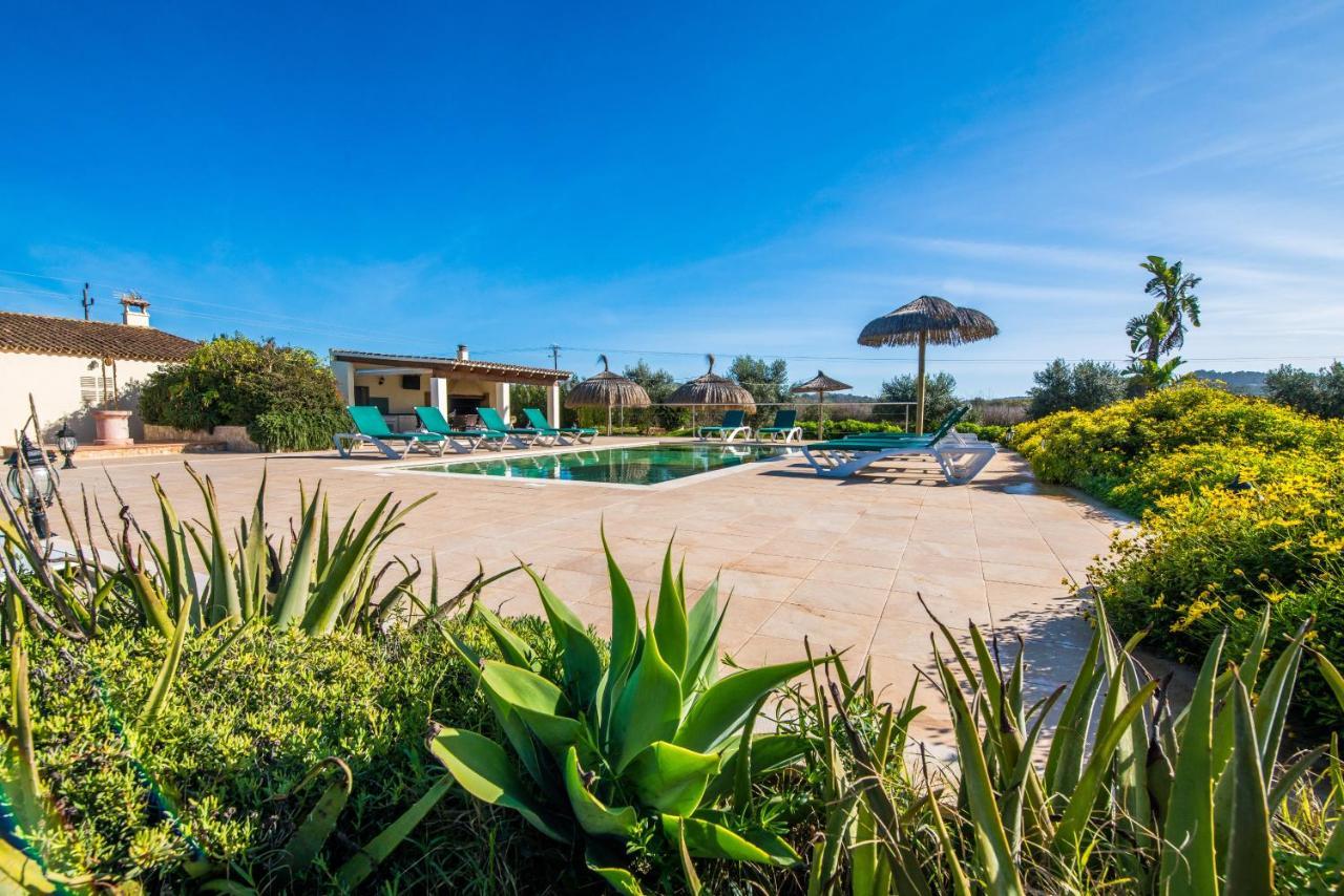 Finca Cas Padrins Manacor  Extérieur photo